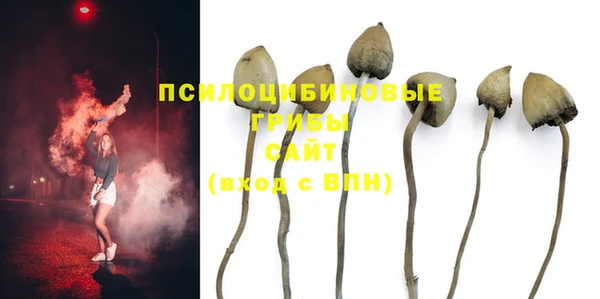 синтетический гашиш Алексин
