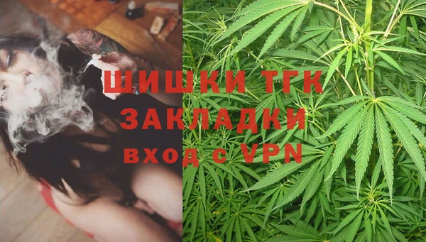 ПСИЛОЦИБИНОВЫЕ ГРИБЫ Алзамай